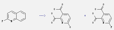 Quinoline, 2-fluoro- can be used to produce 6-hydroxy-pyridine-2,3-dicarboxylic acid and 6-fluoro-pyridine-2,3-dicarboxylic acid